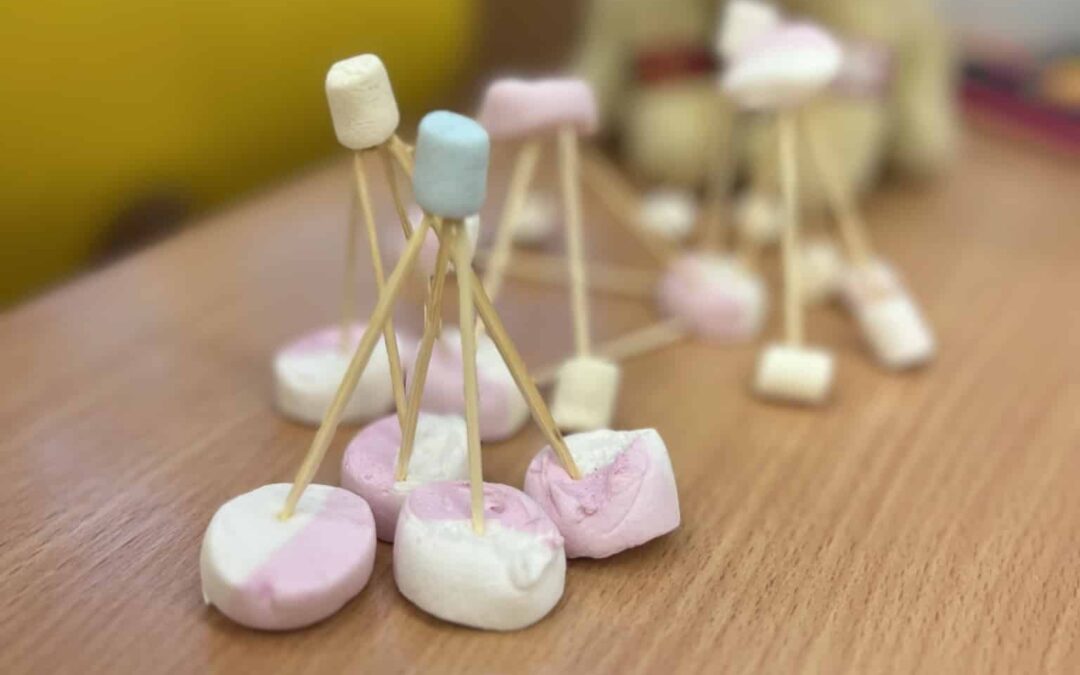 1. B marshmallow