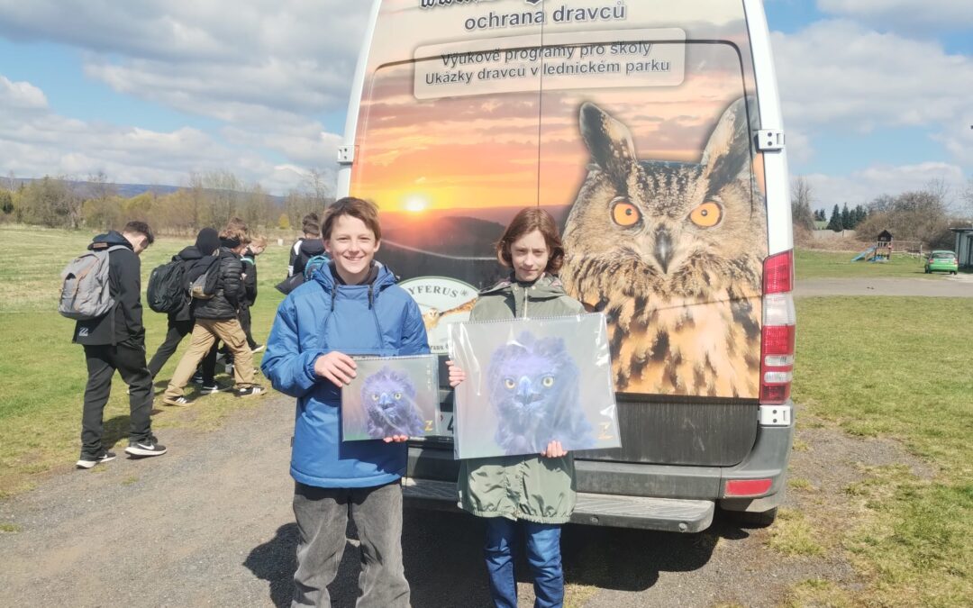 Představení dravců – Zayferus – ochrana dravců